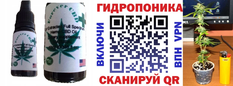 Cannafood марихуана  где купить наркоту  Курчалой 