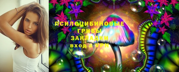 твердый Балахна